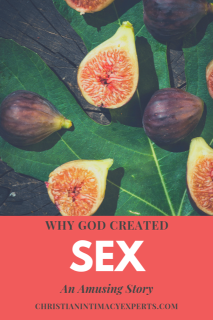 Why Did God Create Sex Christian Intimacy Experts