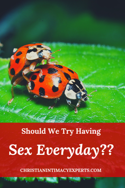 Sex Everyday Christian Intimacy Experts